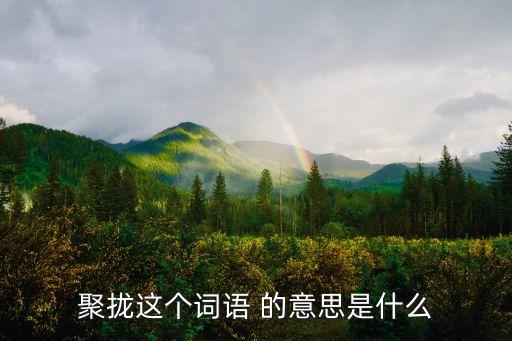 聚攏，聚攏的意思