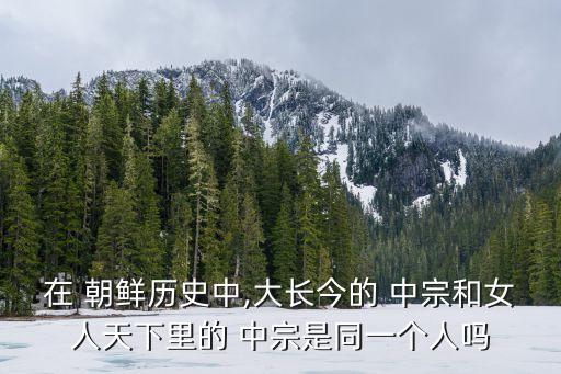 朝鮮中宗,《天下女人》和《大長今》講述中宗時期的故事