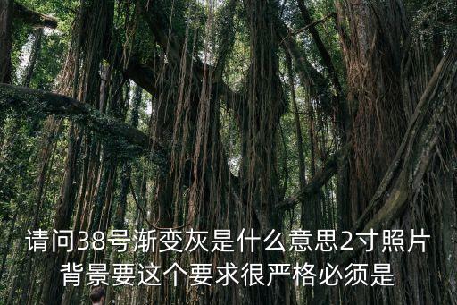 漸變灰，請問38號漸變灰是什么意思2寸照片背景要這個要求很嚴格必須是