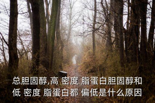 低密度脂蛋白偏低,hi-2脂蛋白:正常數(shù)值范圍為0.96%