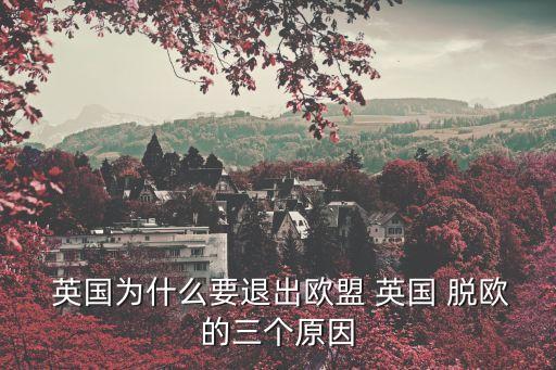 英國脫歐原因,英國有充分理由選擇不脫歐