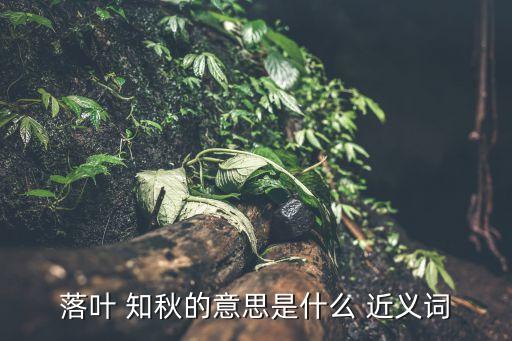 落葉 知秋的意思是什么 近義詞