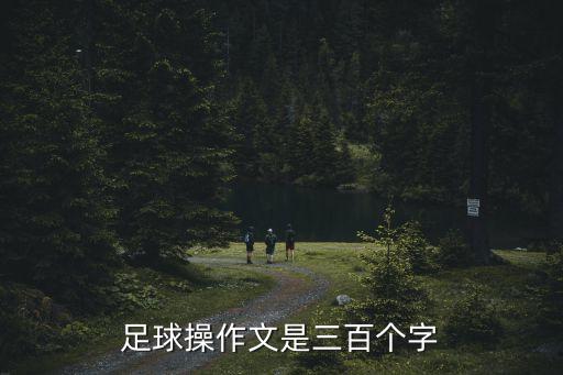 足球操作文是三百個字