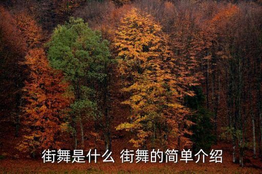  街舞是什么 街舞的簡單介紹