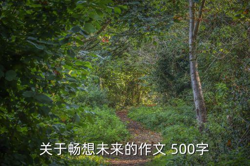 關于暢想未來的作文 500字