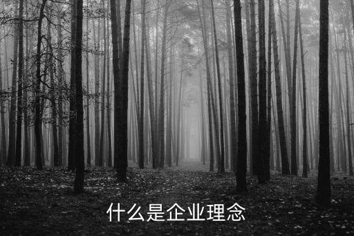 公司理念，什么是企業(yè)理念