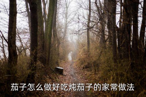 燉茄子的家常做法，茄子怎么做好吃燉茄子的家常做法