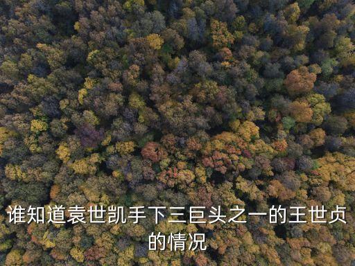 王士珍,北洋三杰之一管儒不是王世貞