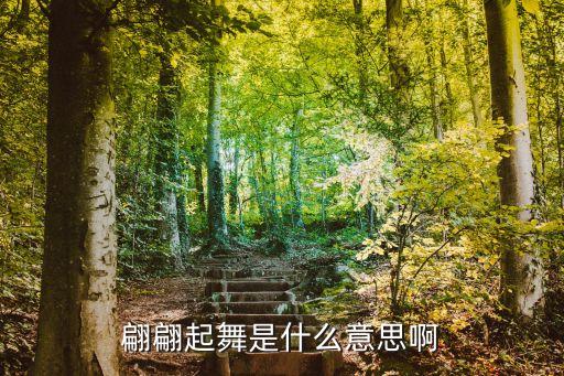 翩翩起舞是什么意思啊