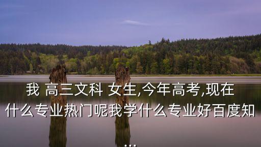 高三女生,大學畢業生就業指導報告