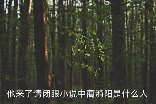 他來了請閉眼小說中藺漪陽是什么人