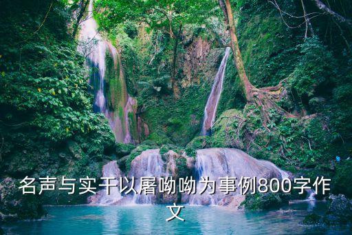 名聲與實干以屠呦呦為事例800字作文