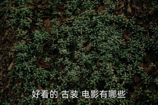 好看的 古裝 電影有哪些