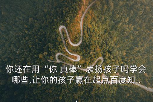 你還在用“你 真棒”表?yè)P(yáng)孩子嗎學(xué)會(huì)哪些,讓你的孩子贏在起點(diǎn)百度知...