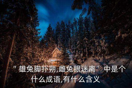 雄兔腳撲朔,習語:雄兔腳亂，雌兔眼迷離解釋:難以區分雌雄
