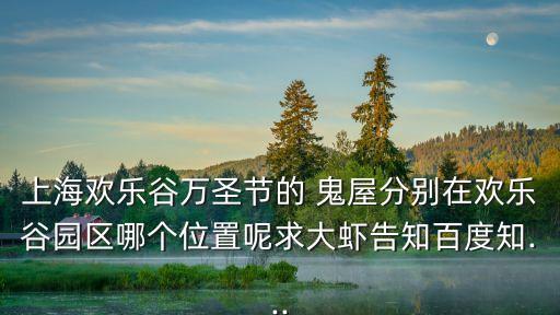 鬼屋大冒險,上海歡樂谷萬圣節第六屆代表大會鬼屋出現在景點
