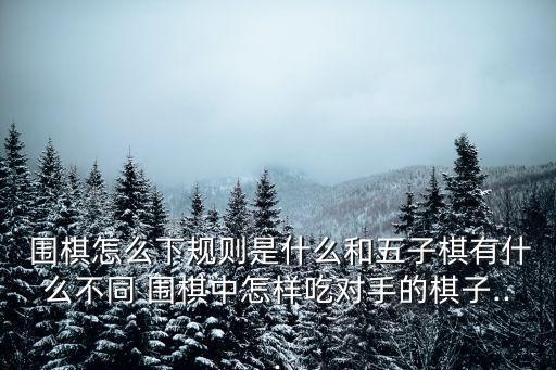  圍棋怎么下規(guī)則是什么和五子棋有什么不同 圍棋中怎樣吃對手的棋子...