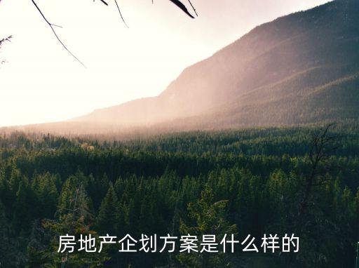 房地產企劃方案是什么樣的