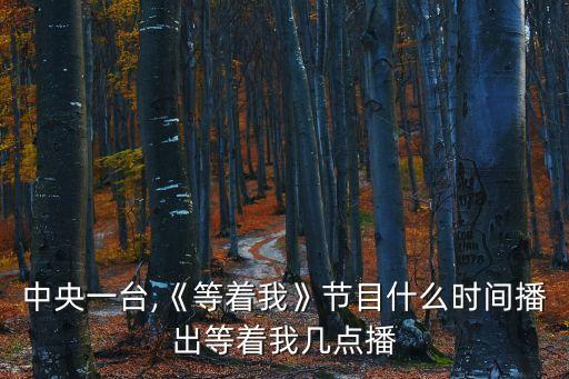 中央一臺,《等著我》節目什么時間播出等著我幾點播