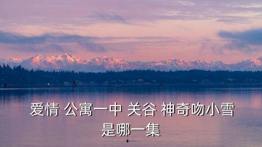 愛情公寓關谷神奇,關谷神奇吻小雪第一季第十集
