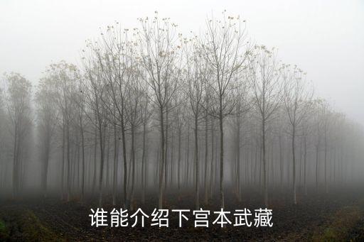 誰能介紹下宮本武藏