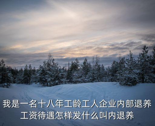 內部退養，我是一名十八年工齡工人企業內部退養工資待遇怎樣發什么叫內退養
