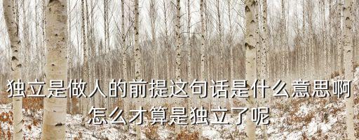 獨立是做人的前提這句話是什么意思啊怎么才算是獨立了呢