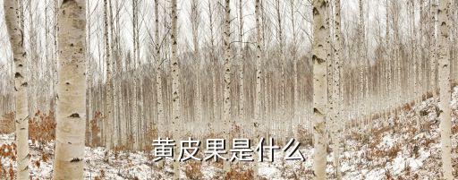 黃皮果，黃皮果有何保健作用