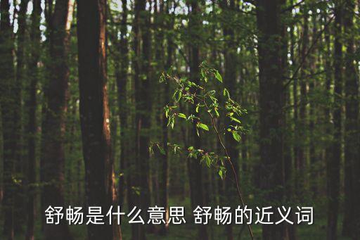 舒暢是什么意思 舒暢的近義詞