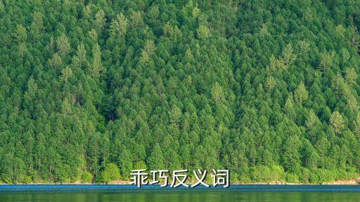 乖巧反義詞