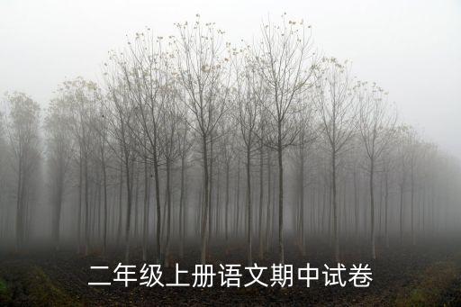 二年級上冊語文期中試卷