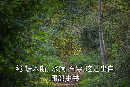繩鋸木斷水滴石穿,第二集:水滴石穿、繩鋸木斷