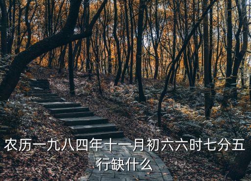劉少奇屬什么生肖，農(nóng)歷一九八四年十一月初六六時七分五行缺什么