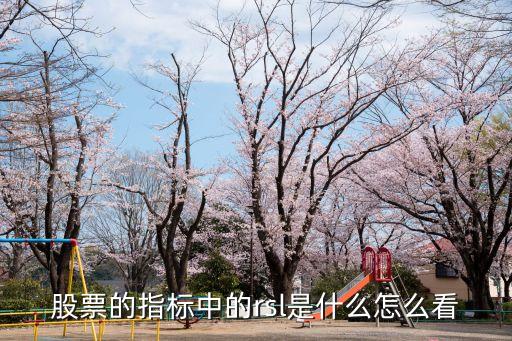 rsl，化學試劑中的RSL是什么英文的縮寫