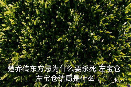 楚喬傳東方忌為什么要殺死 左寶倉 左寶倉結局是什么