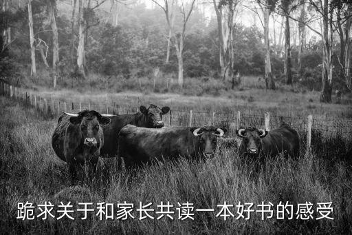 共讀一本書，學(xué)生和家長共讀一本書最美河北征文800字