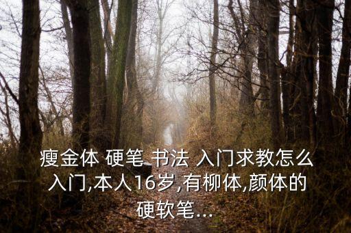  瘦金體 硬筆 書法 入門求教怎么 入門,本人16歲,有柳體,顏體的硬軟筆...