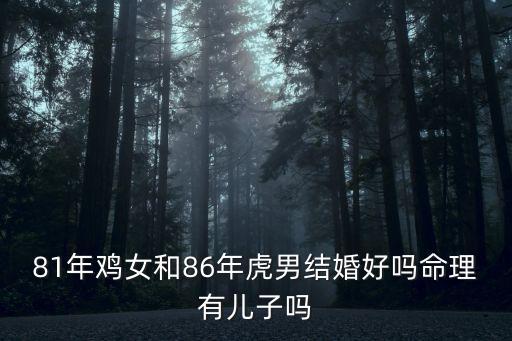 81年雞女和86年虎男結婚好嗎命理有兒子嗎