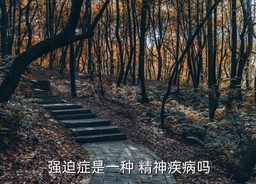  強迫癥是一種 精神疾病嗎