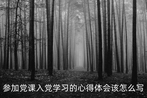 黨課感想，黨課課后感怎么寫