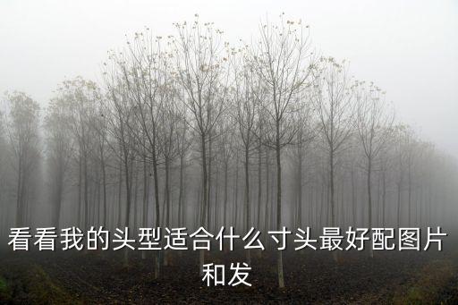 看看我的頭型適合什么寸頭最好配圖片和發(fā)