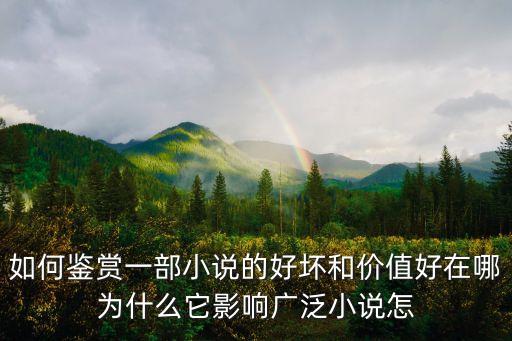 如何鑒賞一部小說的好壞和價值好在哪為什么它影響廣泛小說怎