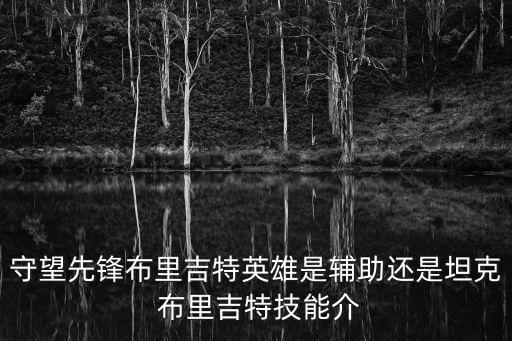 守望先鋒布里吉特英雄是輔助還是坦克 布里吉特技能介