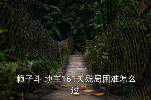  賴(lài)子斗 地主161關(guān)殘局困難怎么過(guò)