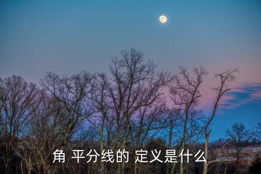 角平分線的定義,三角形的角平分線是線段非直角也是線