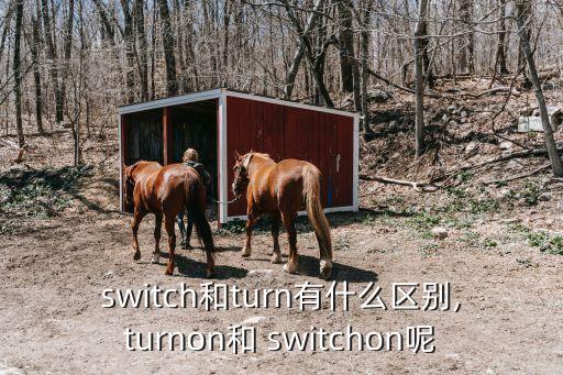 switchon,系統(tǒng)升級(jí)維護(hù)導(dǎo)致switchon無(wú)法開(kāi)機(jī)
