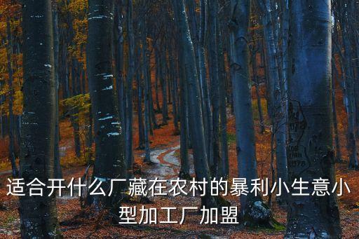 適合開什么廠藏在農村的暴利小生意小型加工廠加盟