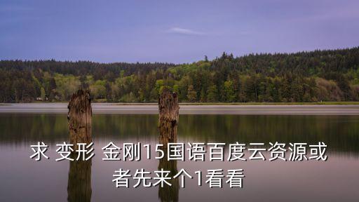 求 變形 金剛15國語百度云資源或者先來個1看看