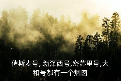 俾斯麥號, 新澤西號,密蘇里號,大和號都有一個煙囪