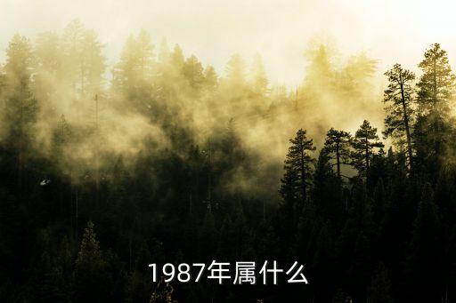 1987年屬什么